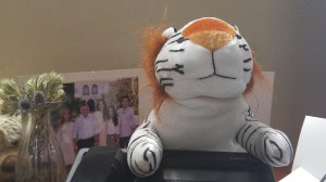 Dr. Rafe will see you now. Please ignore the bear in the background.